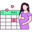 Pregnancy Calculator icon